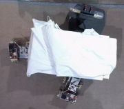 swarm caging a dolly